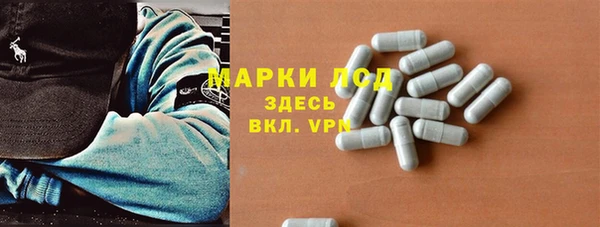 гашик Пересвет