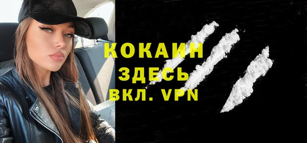 гашик Пересвет