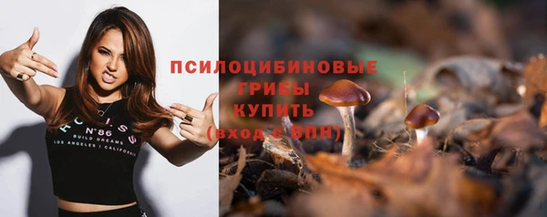 мдпв Переславль-Залесский