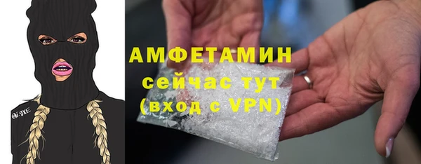 гашик Пересвет