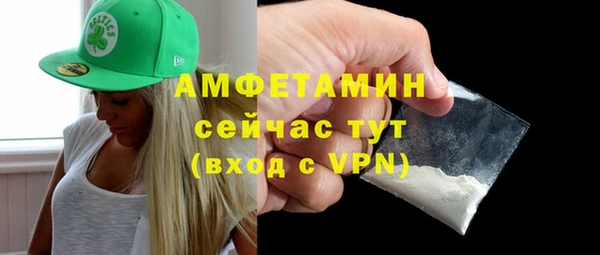 гашик Пересвет