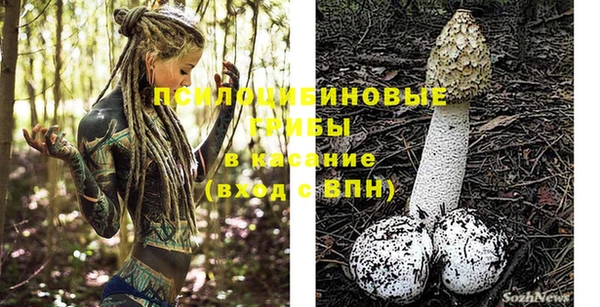 гашик Пересвет
