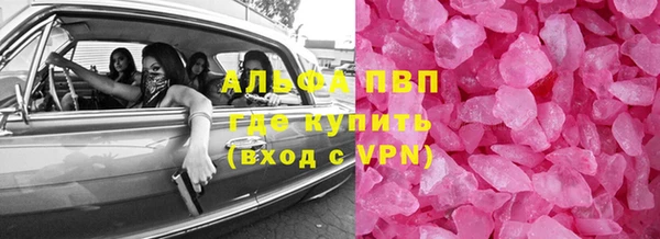 гашик Пересвет