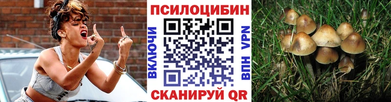 Купить закладки  Южно-Сухокумск  Псилоцибиновые грибы Psilocybe 